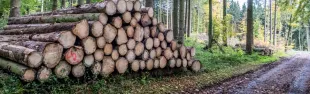 Descrizione immagine non disponibile