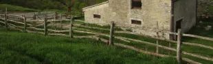 Descrizione immagine non disponibile