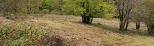 Descrizione immagine non disponibile