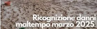 Descrizione immagine non disponibile