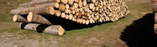 Descrizione immagine non disponibile