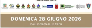 Descrizione immagine non disponibile