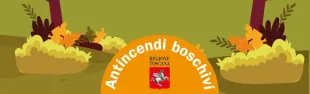 Descrizione immagine non disponibile
