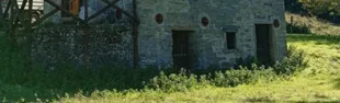 Descrizione immagine non disponibile