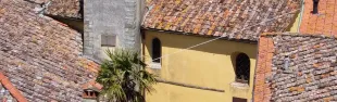 Descrizione immagine non disponibile
