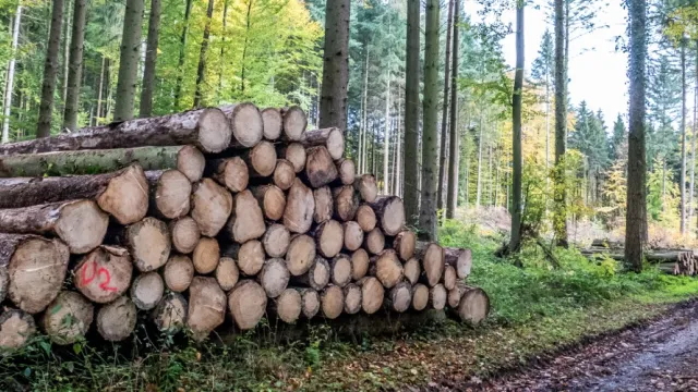 Descrizione immagine non disponibile