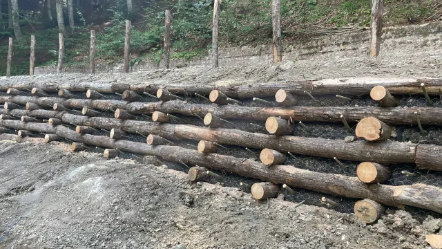 Descrizione immagine non disponibile