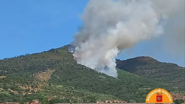 Descrizione immagine non disponibile