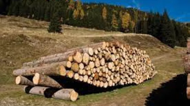 Descrizione immagine non disponibile