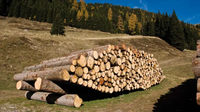 Descrizione immagine non disponibile