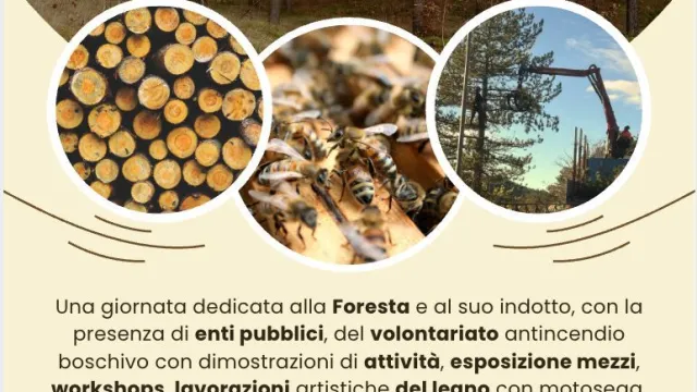 Descrizione immagine non disponibile