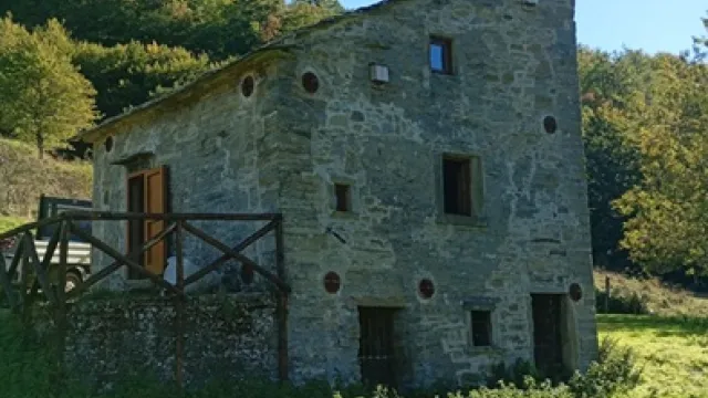 Descrizione immagine non disponibile