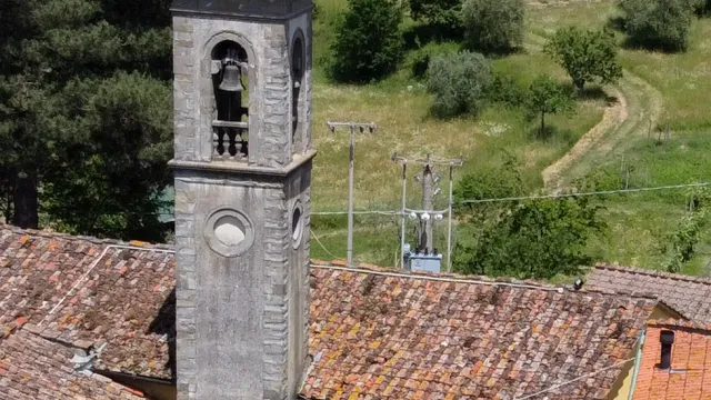 Descrizione immagine non disponibile